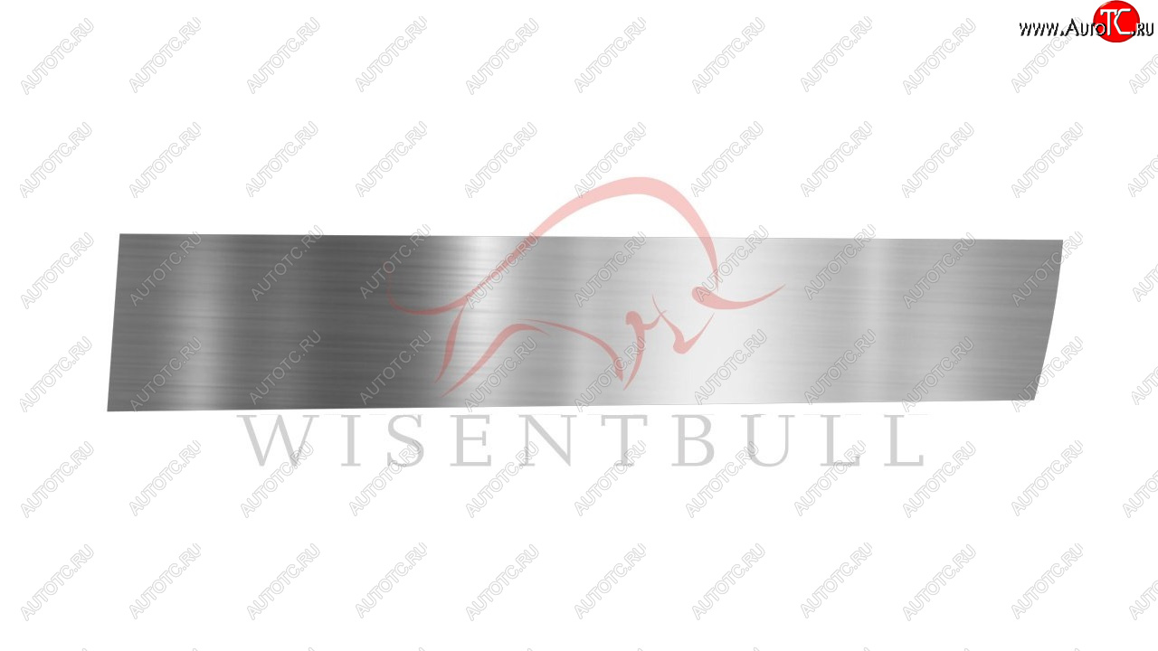 1 989 р. Ремкомплект правой двери Wisentbull BMW 5 серия E39 седан дорестайлинг (1995-2000)  с доставкой в г. Самара