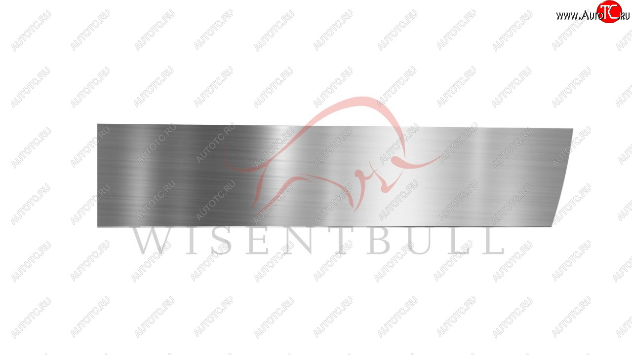 1 989 р. Ремкомплект правой двери Wisentbull Chevrolet Viva (2005-2008)  с доставкой в г. Самара
