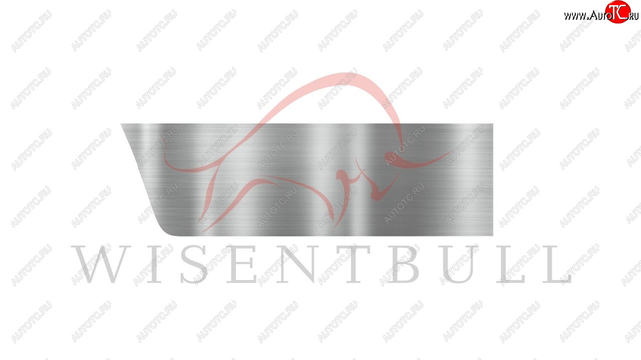 1 989 р. Ремкомплект правой двери Wisentbull Chevrolet Viva (2005-2008)  с доставкой в г. Самара