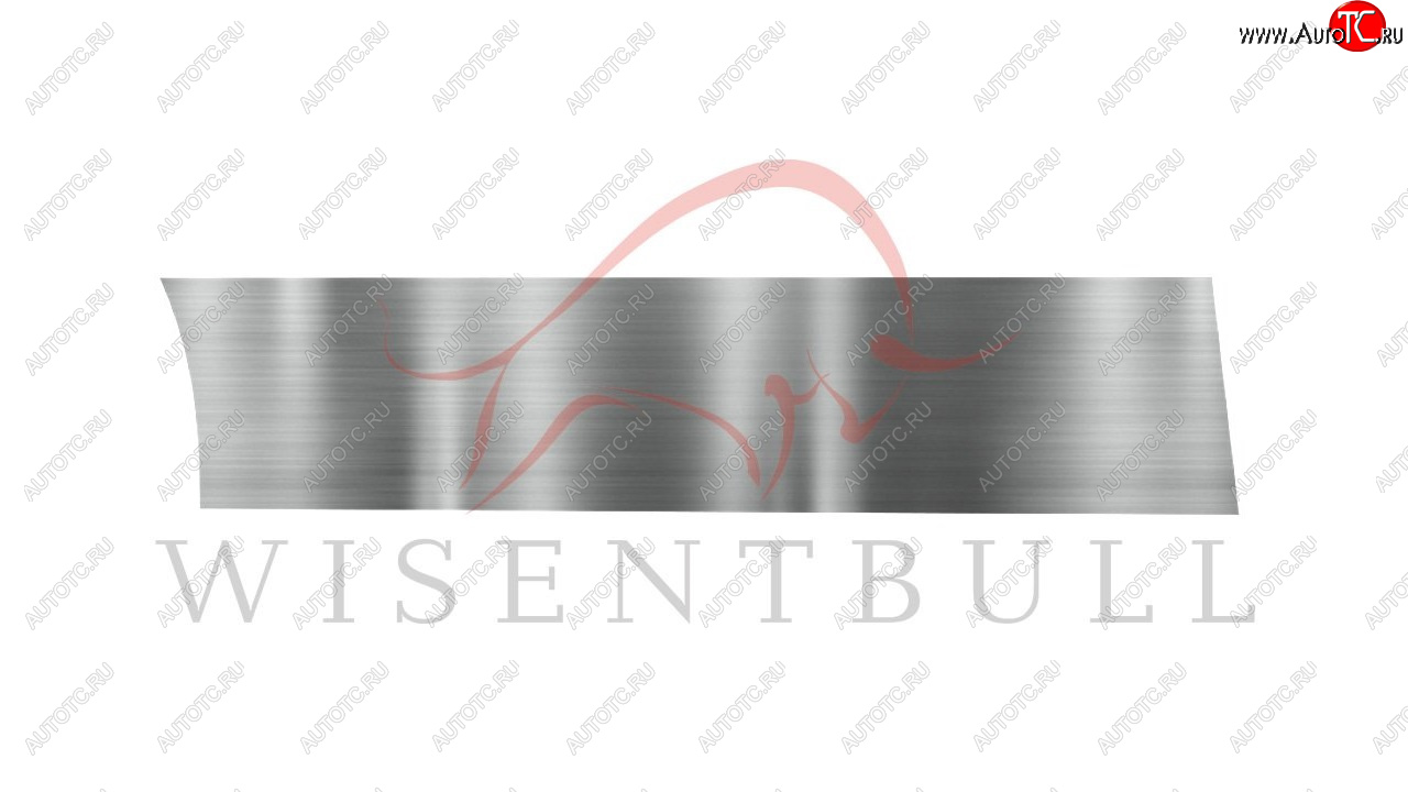 1 989 р. Ремкомплект правой двери Wisentbull Ford Freestar (2003-2007)  с доставкой в г. Самара