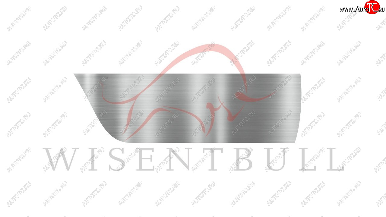 1 989 р. Ремкомплект правой двери Wisentbull KIA Spectra (2000-2009)  с доставкой в г. Самара