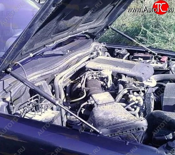 2 199 р. Газовые упоры капота Berkut Mitsubishi Pajero 3 V70 дорестайлинг (1999-2003)  с доставкой в г. Самара