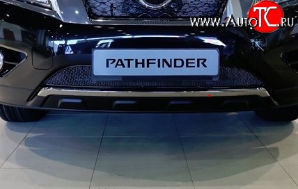 1 799 р. Сетка на бампер Novline Nissan Pathfinder R52 дорестайлинг (2012-2017)  с доставкой в г. Самара