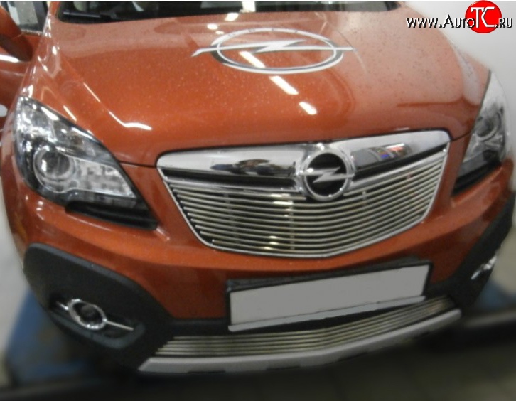 5 199 р. Декоративная вставка решетки радиатора Berkut Opel Mokka  дорестайлинг (2012-2016)  с доставкой в г. Самара