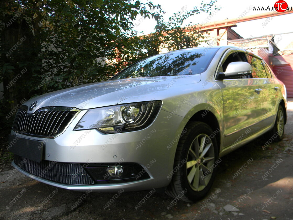 4 649 р. Защитная сетка в бампер (низ, ячейка 4х10 мм) Стрелка11 Премиум Skoda Superb B6 (3T5) универсал рестайлинг (2013-2015) (Чёрная)  с доставкой в г. Самара