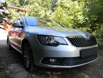 4 649 р. Защитная сетка в бампер (низ, ячейка 4х10 мм) Стрелка11 Премиум Skoda Superb B6 (3T5) универсал рестайлинг (2013-2015) (Чёрная)  с доставкой в г. Самара. Увеличить фотографию 3