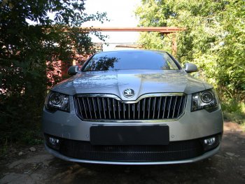 4 649 р. Защитная сетка в бампер (низ, ячейка 4х10 мм) Стрелка11 Премиум Skoda Superb B6 (3T5) универсал рестайлинг (2013-2015) (Чёрная)  с доставкой в г. Самара. Увеличить фотографию 2