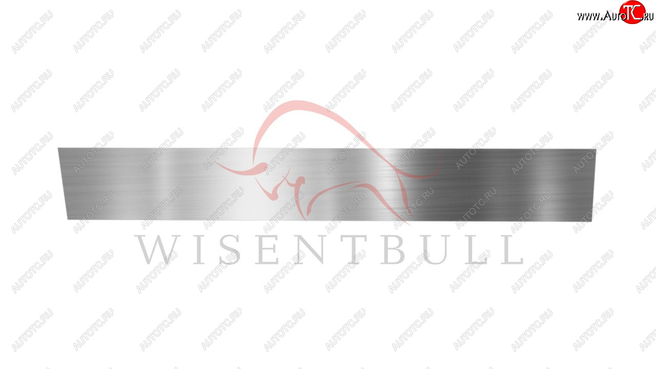 1 989 р. Ремкомплект левой двери Wisentbull CITROEN Berlingo M49 дорестайлинг (1996-2003)  с доставкой в г. Самара