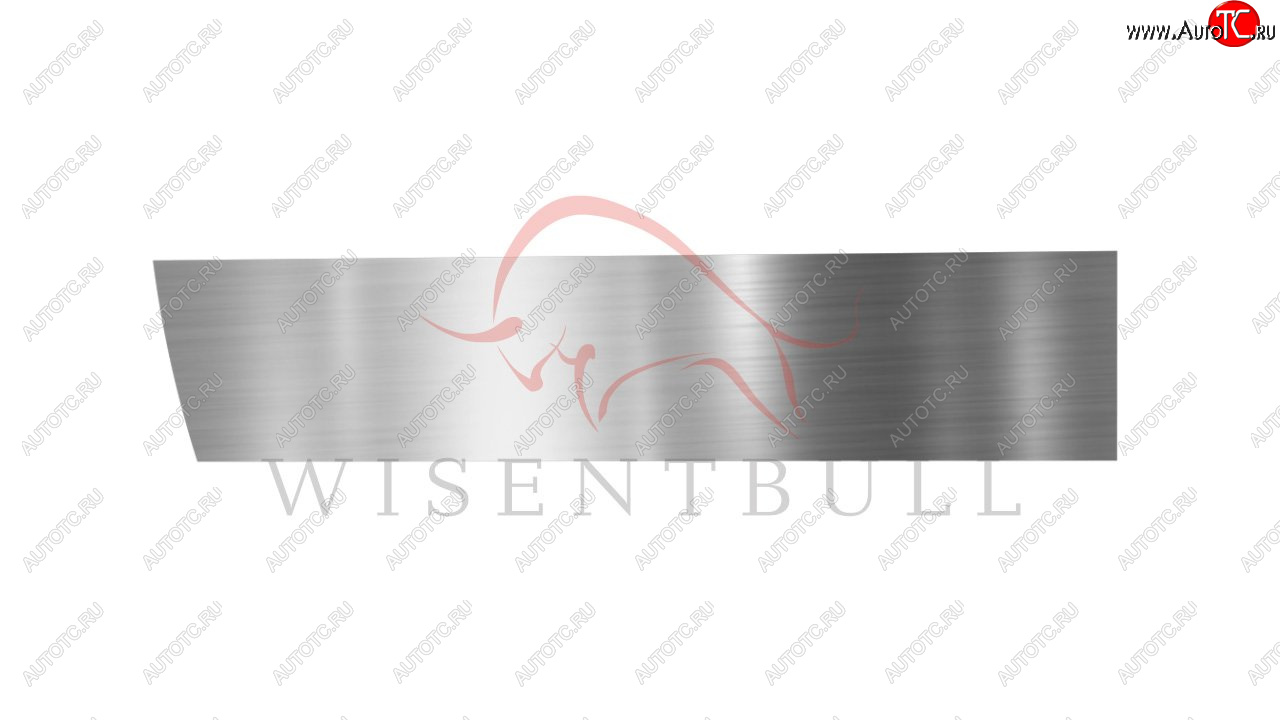 1 989 р. Ремкомплект левой двери Wisentbull Chevrolet Viva (2005-2008)  с доставкой в г. Самара