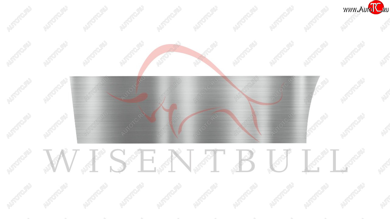 1 989 р. Ремкомплект левой двери Wisentbull Toyota Opa (2000-2005)  с доставкой в г. Самара