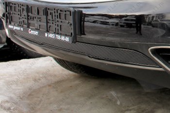 4 999 р. Защитная сетка в бампер (ячейка 4х10 мм, с датчиком FCW) Alfeco Премиум INFINITI FX37 S51 дорестайлинг (2008-2011) (Чёрная)  с доставкой в г. Самара. Увеличить фотографию 3