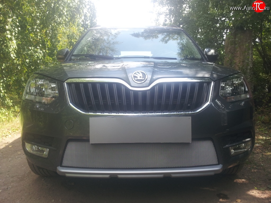 1 539 р. Сетка на бампер City Russtal (хром) Skoda Yeti (2013-2018)  с доставкой в г. Самара