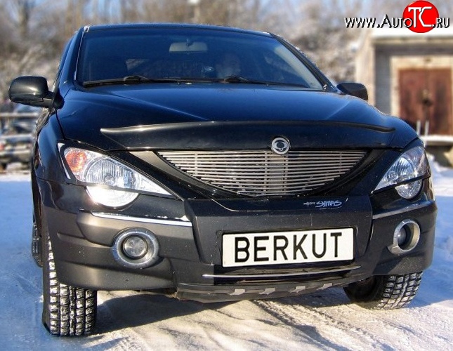 5 999 р. Декоративная вставка решетки радиатора Berkut SSANGYONG Actyon Sport (2006-2011)  с доставкой в г. Самара