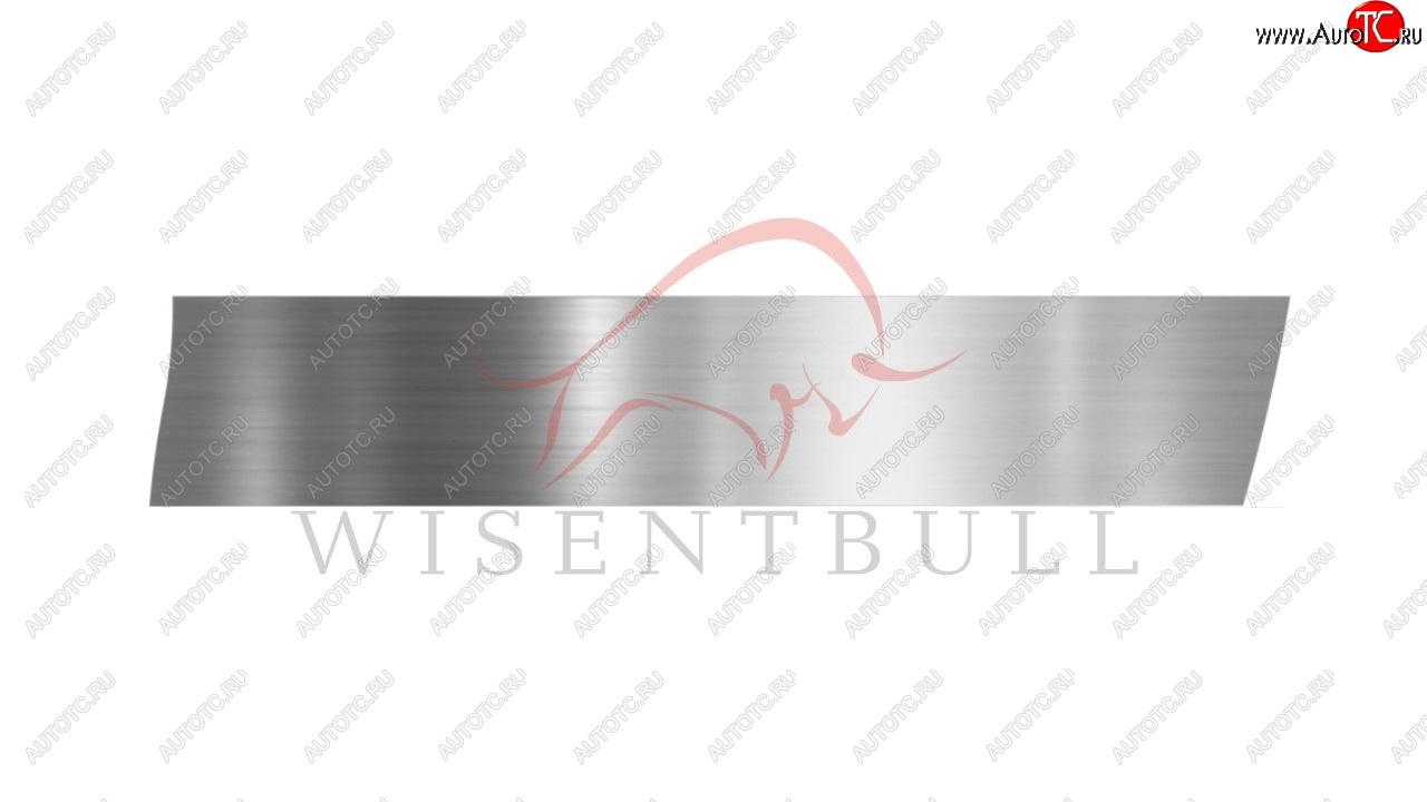 1 989 р. Ремкомплект правой двери Wisentbull Toyota Corolla E110 универсал дорестайлинг (1997-2000)  с доставкой в г. Самара