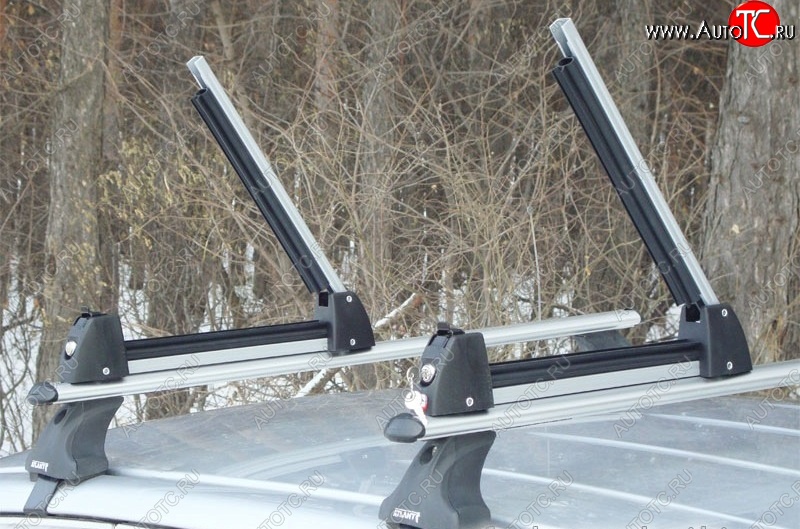 2 349 р. Крепление для 3 комплектов лыж или 2 сноубордов Amos Ski Lock 3 Daewoo Kalos (2002-2008) (Цвет: серебристый)  с доставкой в г. Самара
